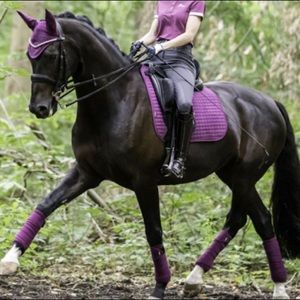 Plum Lemieux saddle pad